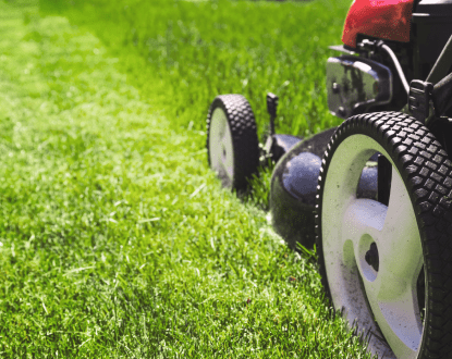 LAWN MOWING
